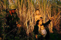 Vietnam TP6607 large Military A4 Photo Print