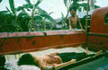 Vietnam TP6809 large Military A4 Photo Print