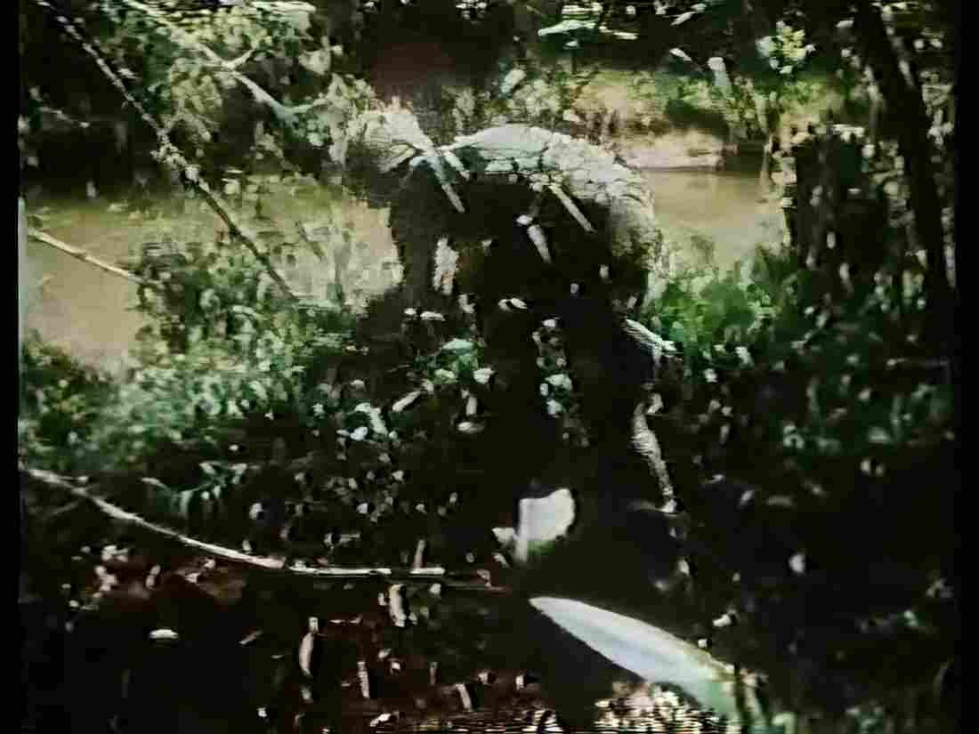 Vietnam Vietnam 0086 Military A4 Photo Print