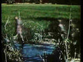 Vietnam Vietnam 0104 Military A4 Photo Print