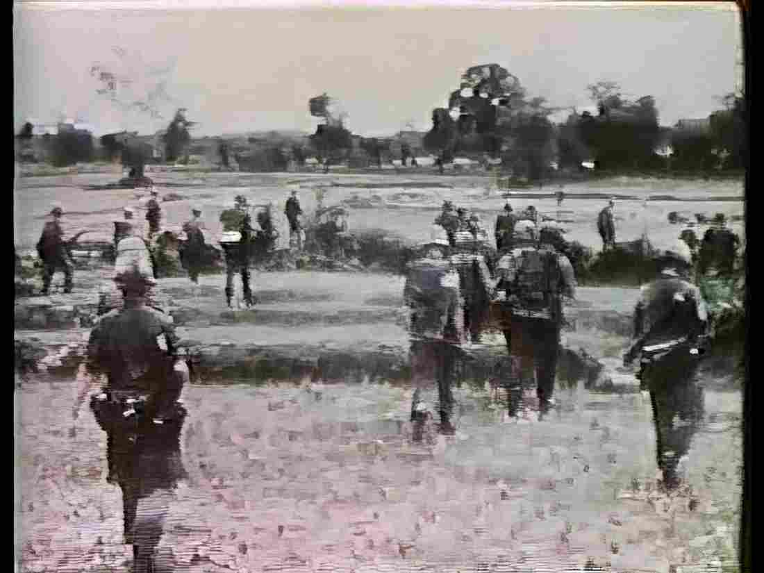 Vietnam Vietnam 0239 Military A4 Photo Print