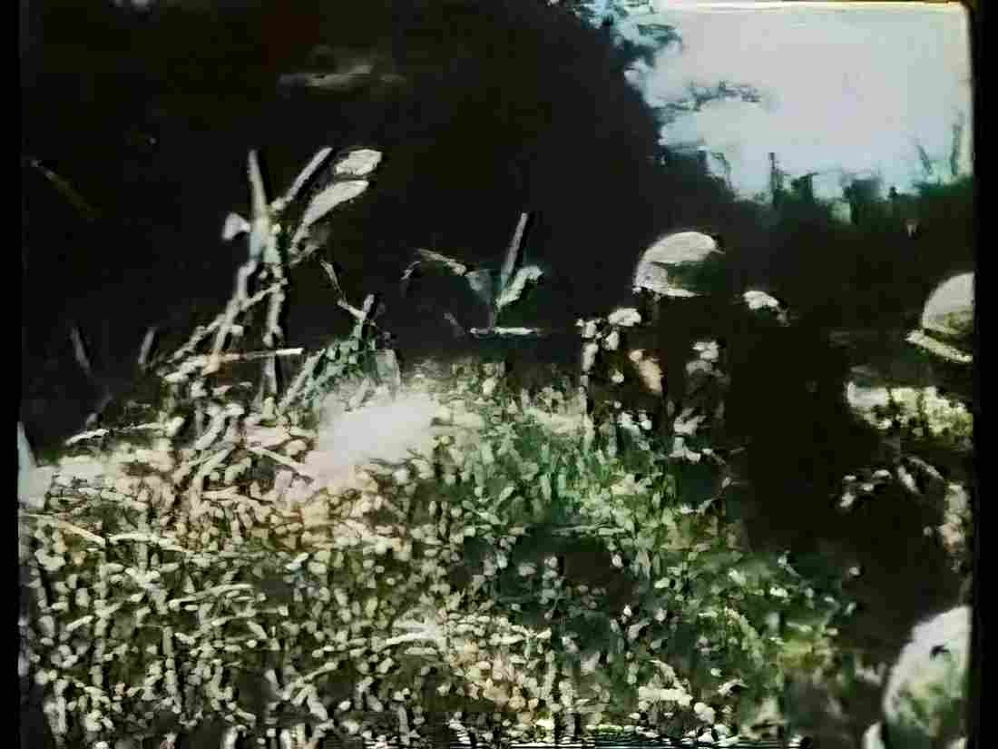 Vietnam Vietnam 0260 Military A4 Photo Print