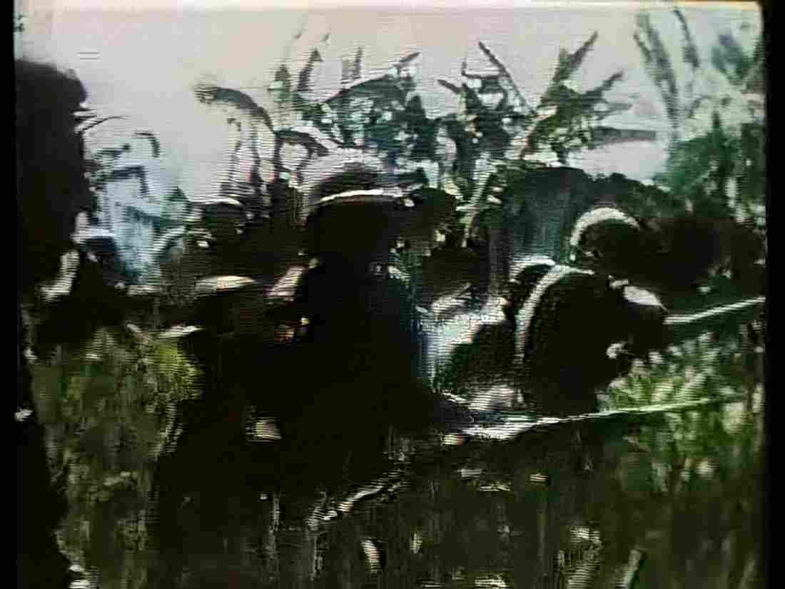 Vietnam Vietnam 0263 Military A4 Photo Print