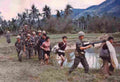 Vietnam capture Military A4 Photo Print