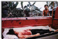 Vietnam casuality1 Military A4 Photo Print