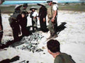 Vietnam contra 1 Military A4 Photo Print