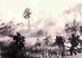 Vietnam enemy3 Military A4 Photo Print