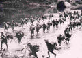 Vietnam enemy6 Military A4 Photo Print