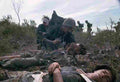 Vietnam fire5 Military A4 Photo Print