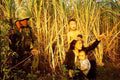 Vietnam fire6h Military A4 Photo Print