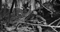 Vietnam hill881 Military A4 Photo Print