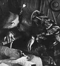 Vietnam life18 Military A4 Photo Print