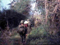 Vietnam man quan Military A4 Photo Print