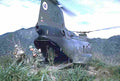 Vietnam nuilocson2 Military A4 Photo Print