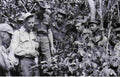 Vietnam usaf013 Military A4 Photo Print