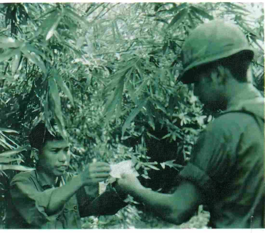 Vietnam usaf100 Military A4 Photo Print