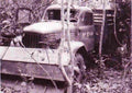 Vietnam usaf161 Military A4 Photo Print