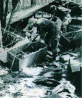 Vietnam usaf206 Military A4 Photo Print