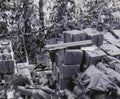 Vietnam usaf209 Military A4 Photo Print