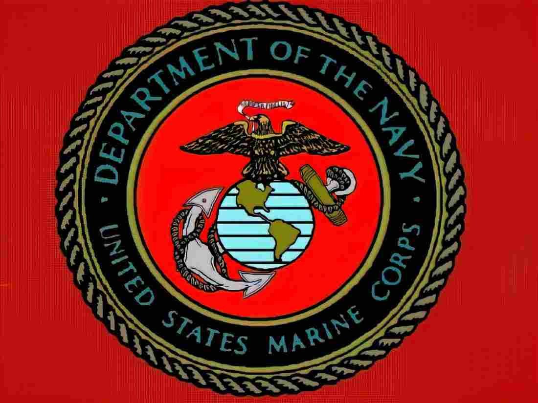 Vietnam usmc Military A4 Photo Print
