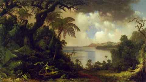 View from Fern Tree Walk Jamaica ATC A4 Photo Print
