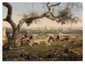 View from Southwest Lydda Vintage A4 Photo Print