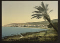 View from near foot of Mount Carmel Chaifa Vintage A4 Photo Print