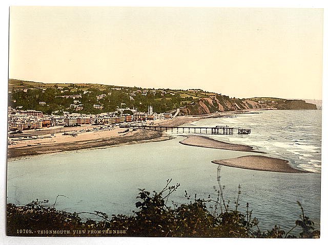 View from the Ness Teignmouth Vintage A4 Photo Print