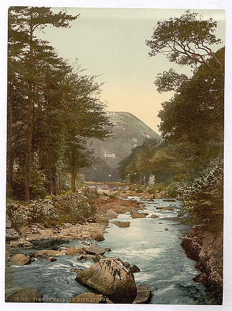 View in the East Lyn Lynton & Lynmouth Vintage A4 Photo Print