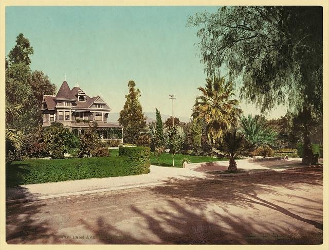 View on Palm Avenue Riverside Vintage A4 Photo Print