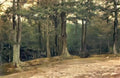 Viktor Vasnetsov in the park Art A4 Photo Print