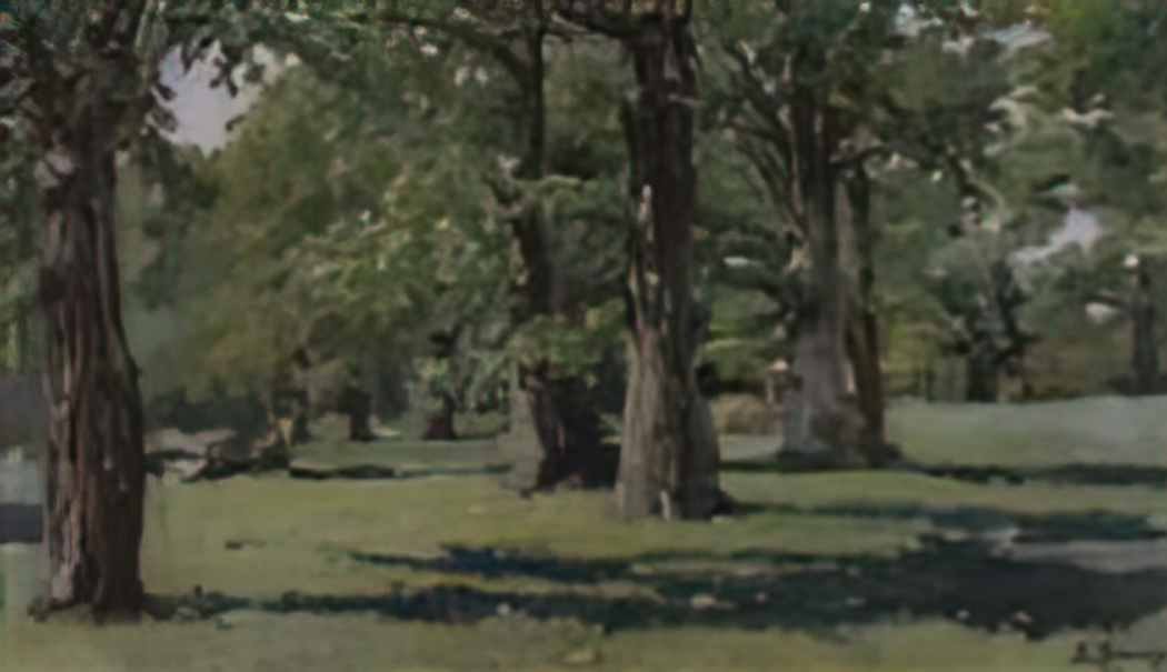 Viktor Vasnetsov oak grove at abramtsevo 1883 Art A4 Photo Print