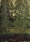 Viktor Vasnetsov pond in ochtir 1880 Art A4 Photo Print