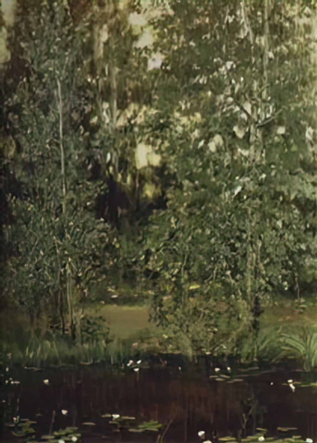 Viktor Vasnetsov pond in ochtir 1880 Art A4 Photo Print