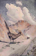 Villa Hernado G Little Tales Desert Road Runner A4 Photo Print