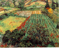 Vincent Van Gogh 3025656iolocsrqlo Photo Art A4 Photo Print