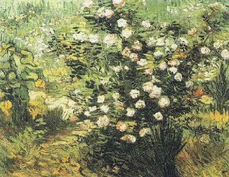 Vincent Van Gogh 3026369mibxwcxgbe Photo Art A4 Photo Print