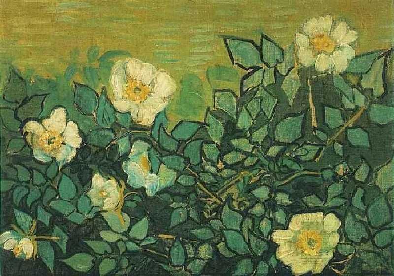 Vincent Van Gogh 3027107bleprsfyok Photo Art A4 Photo Print