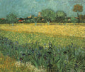 Vincent Van Gogh Gogh Arles Irises Art A4 Photo Print
