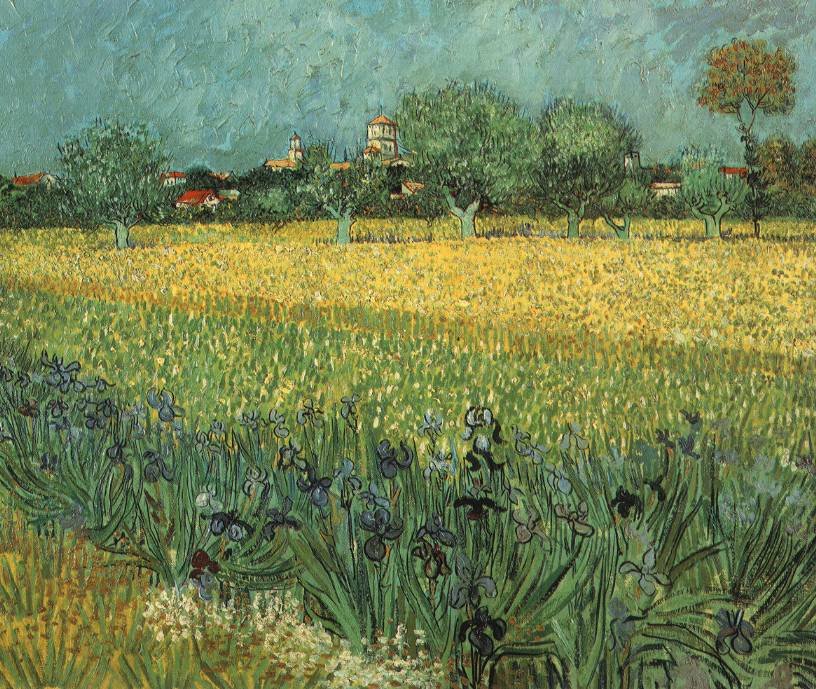 Vincent Van Gogh Gogh Arles Irises Art A4 Photo Print