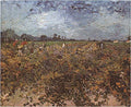 Vincent Van Gogh Gogh Green Vineyard Art A4 Photo Print