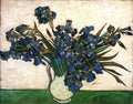 Vincent Van Gogh Gogh Irises Pink Gree Art A4 Photo Print