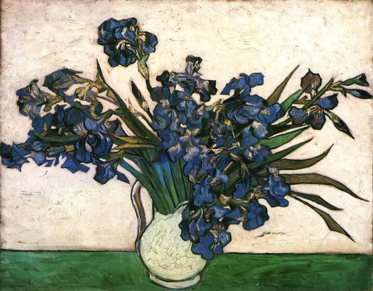 Vincent Van Gogh Gogh Irises Pink Gree Art A4 Photo Print