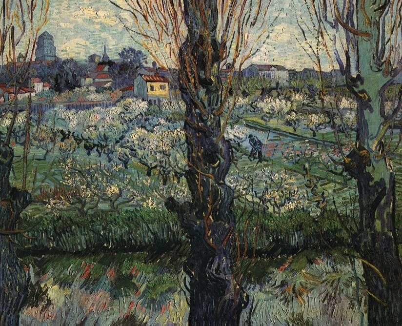 Vincent Van Gogh Gogh Orchard Bloom Poplars Art A4 Photo Print