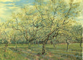 Vincent Van Gogh Gogh Orchard Plum Trees Art A4 Photo Print