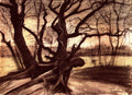Vincent Van Gogh Gogh Tree Art A4 Photo Print