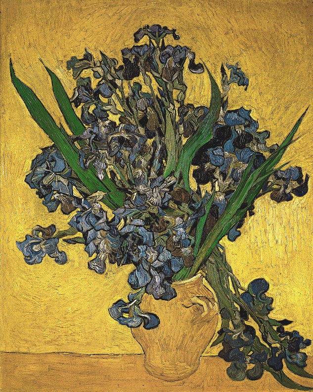 Vincent Van Gogh Gogh Vase Irises Art A4 Photo Print