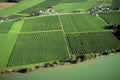 Vineyards Farmland Lake A4 Photo Print