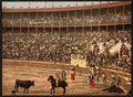 Vintage A bull fight I Barcelona A4 Photo Print