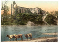 Vintage Abbey From The River Bolton Abbey England A4 Photo Print